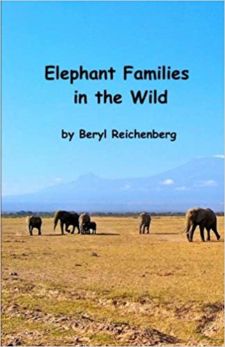 Elephant Families in the Wild