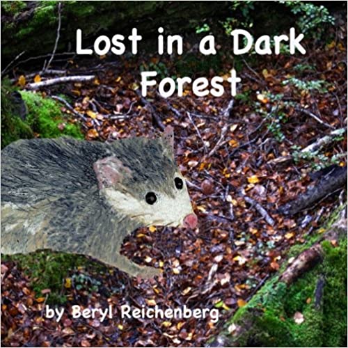 Lost in a Dark Forest